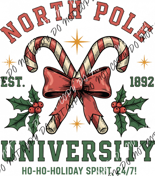 North Pole University DTF Transfer RTP DTF Transfers