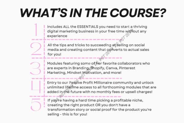 Passive Profit Millionaire - We Print U Press DTF Transfers