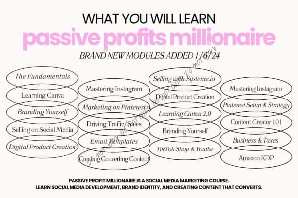 Passive Profit Millionaire - We Print U Press DTF Transfers