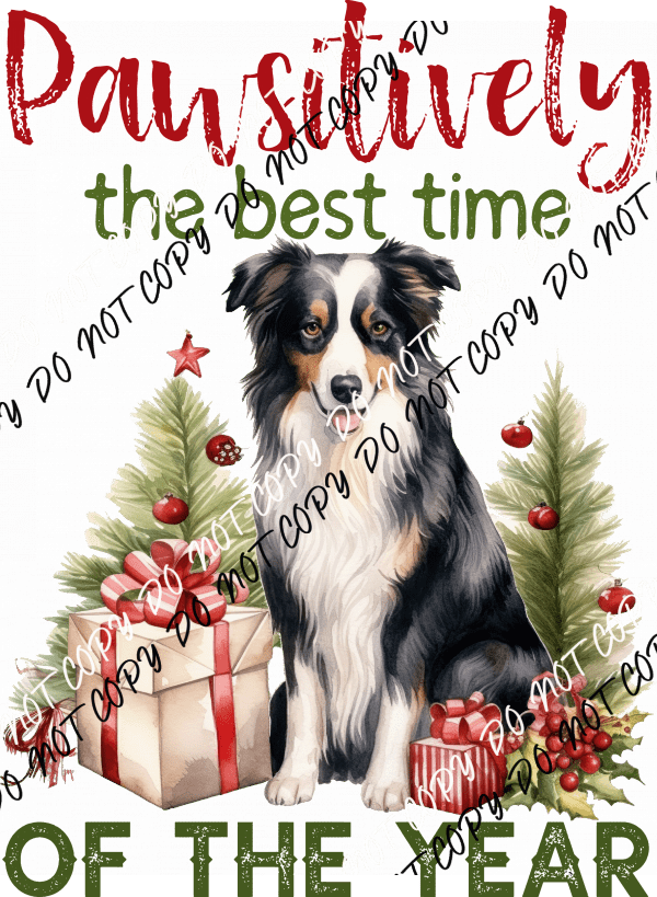 Pawsitively the Best Time of the Year DTF Transfer - We Print U Press DTF Transfers