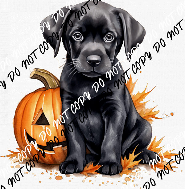 Pumpkin with Black Lab Puppy Watercolor DTF Transfer - We Print U Press DTF Transfers