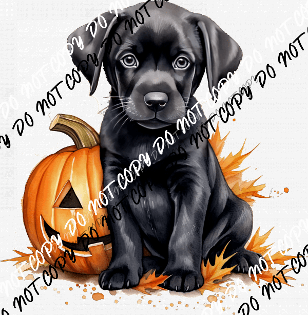 Pumpkin with Black Lab Puppy Watercolor DTF Transfer - We Print U Press DTF Transfers