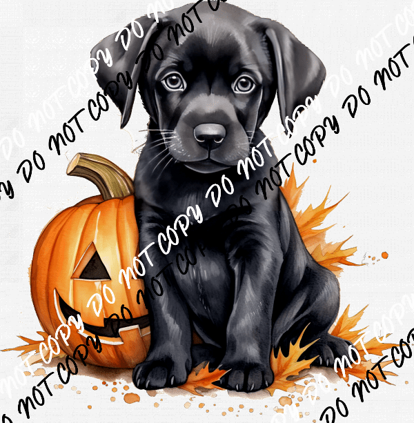 Pumpkin with Black Lab Puppy Watercolor DTF Transfer - We Print U Press DTF Transfers