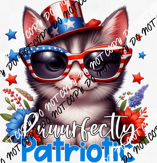 Purrfectly Patriotic Cat DTF Transfer - We Print U Press DTF Transfers