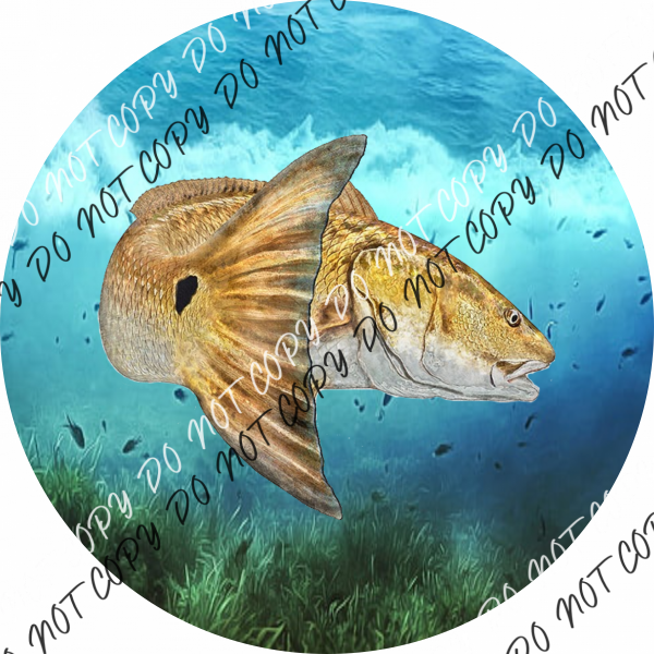 Redfish Round Design