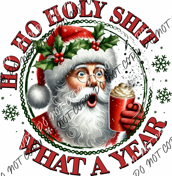 Santa Ho Ho Holy Shit What a Year DTF Transfer RTP DTF Transfers