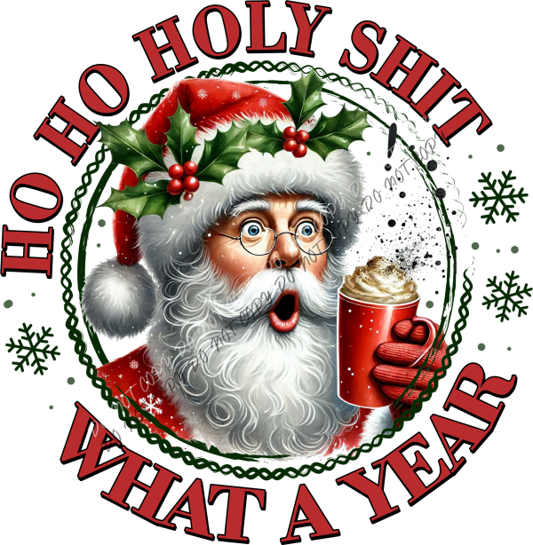 Santa Ho Ho Holy Shit What a Year DTF Transfer RTP DTF Transfers