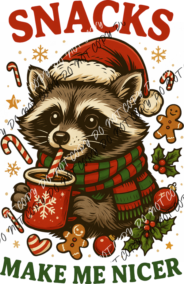 Snacks Make Me Nicer Raccoon DTF Transfer RTP DTF Transfers