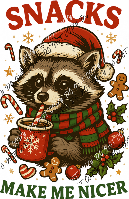 Snacks Make Me Nicer Raccoon DTF Transfer RTP DTF Transfers