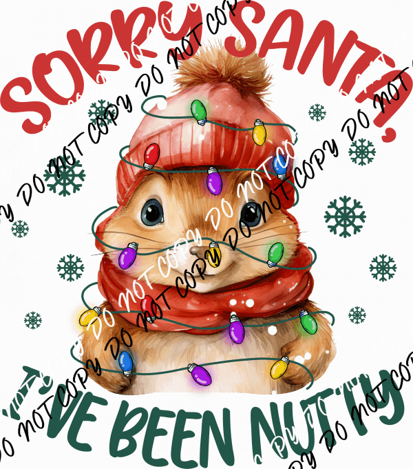 Sorry Santa, I've Been Nutty DTF Transfer - We Print U Press DTF Transfers