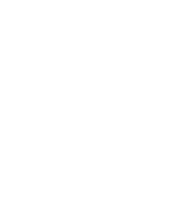 Spring Break 2026 Palm Silhouette DTF Transfer - RTP DTF Transfer