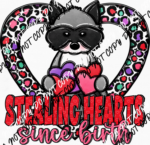 Stealing Hearts Since Birth Raccoon DTF Transfer - We Print U Press DTF Transfers