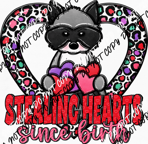 Stealing Hearts Since Birth Raccoon DTF Transfer - We Print U Press DTF Transfers