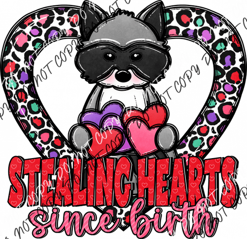 Stealing Hearts Since Birth Raccoon Dtf Transfer Rtp Transfers