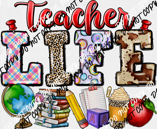 raccoon-on-a-mushroom-dtf-transfer