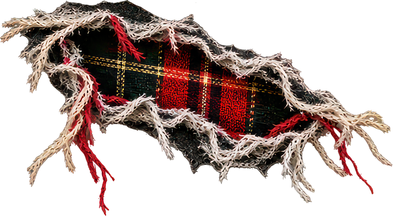 Distressed plaid bull with red and black tartan pattern ready to press dtf transfer