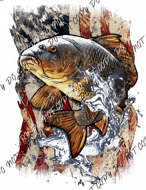 Usa Flag Carp Fish