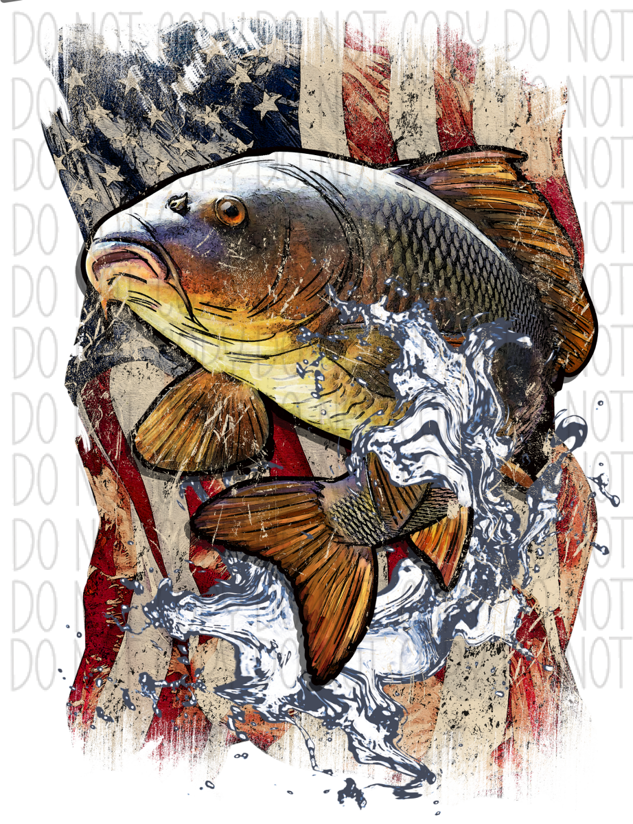 Usa Flag Carp Fish