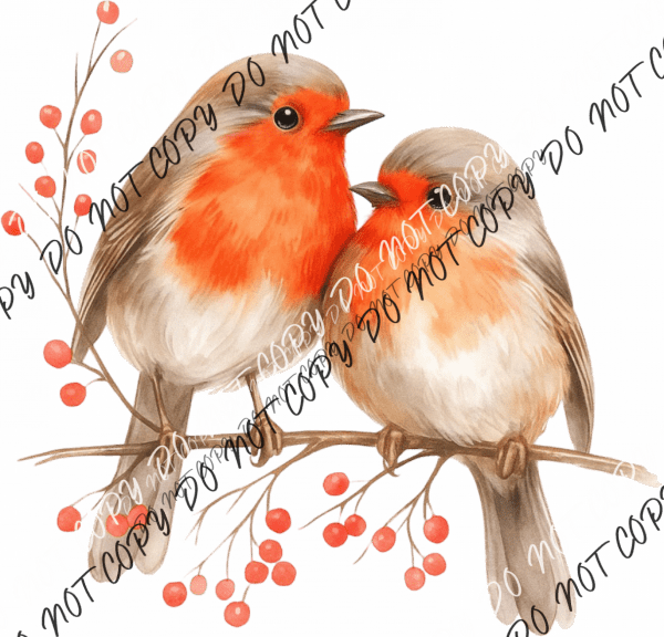 Watercolor Robin Couple DTF Transfer - We Print U Press DTF Transfers