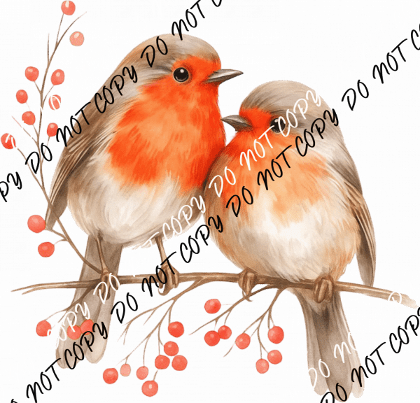 Watercolor Robin Couple DTF Transfer - We Print U Press DTF Transfers