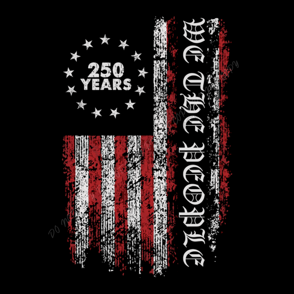 We The People 250 Years Distressed Flag DTF Transfer RTP DTF Transfers