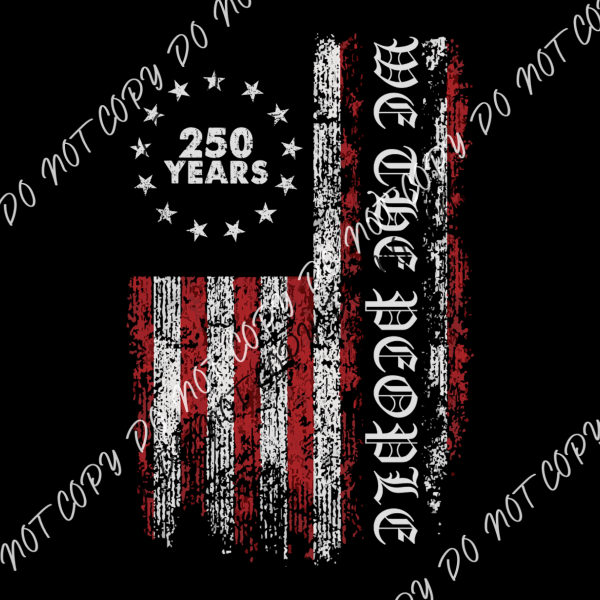 We The People 250 Years Distressed Flag DTF Transfer RTP DTF Transfers