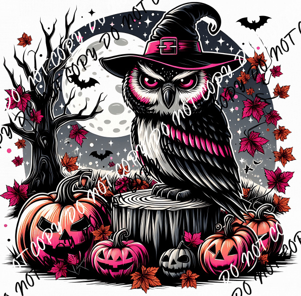 Witch Owl with Moon DTF Transfer - We Print U Press DTF Transfers