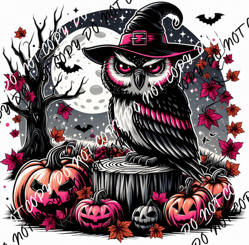 Witch Owl with Moon DTF Transfer - We Print U Press DTF Transfers