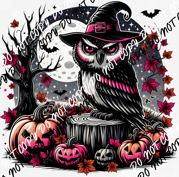 Witch Owl with Moon DTF Transfer - We Print U Press DTF Transfers