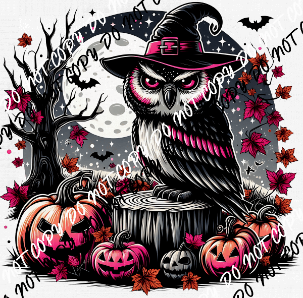 Witch Owl with Moon DTF Transfer - We Print U Press DTF Transfers