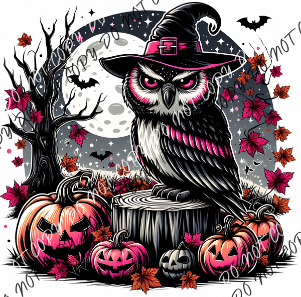 Witch Owl With Moon Dtf Transfer Rtp Transfers