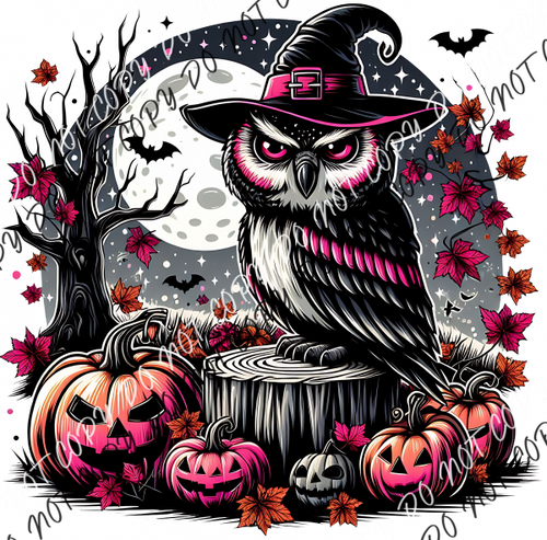 Witch Owl With Moon Dtf Transfer Rtp Transfers