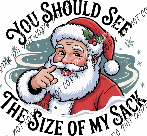 You Should See the Size of My Sack DTF Transfer RTP DTF Transfers