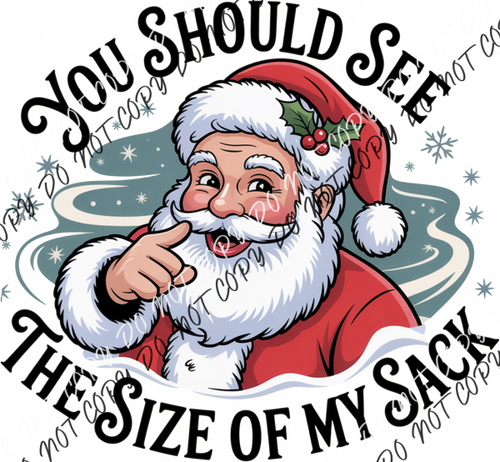 You Should See the Size of My Sack DTF Transfer RTP DTF Transfers