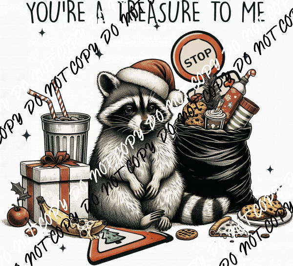 You're a Treasure to Me Raccoon DTF Transfer - We Print U Press DTF Transfers